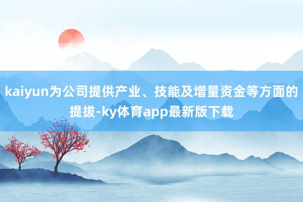 kaiyun為公司提供產(chǎn)業(yè)、技能及增量資金等方面的提拔-ky體育app最新版下載